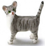 Gray Cat (kitten)