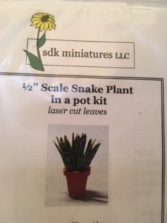 Snake Plant Kit