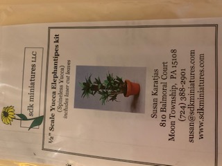 Yucca Plant Kit